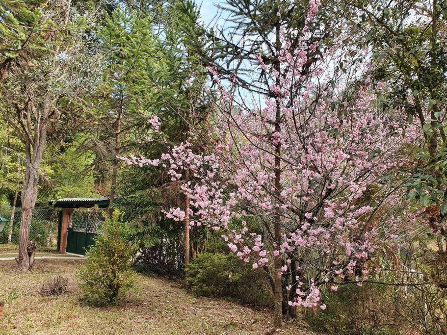 Casa Da Nanna Campos Villa Campos do Jordão Exterior foto